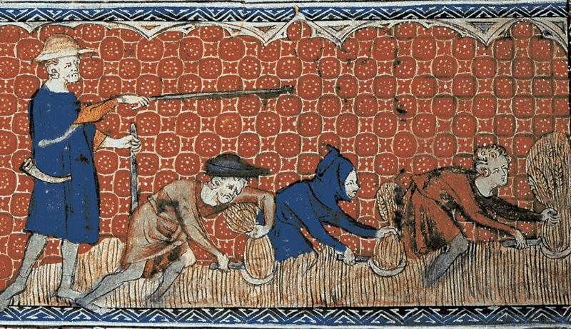 Men harvesting wheat, circa 1310