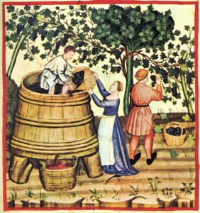 A man stomps grapes in a big wooden vat while a woman lifts a basket of grape clusters and pours it into the vat. A man in the background cuts grape clusters from a vine and fills a basket with them.